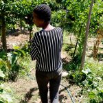 horta-comunitaria-reune-memoria,-cuidado-e-cidadania-em-favela-do-rio