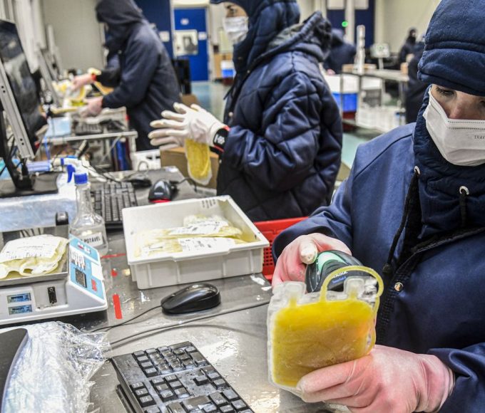 dia-mundial-da-hemofilia:-campanha-reforca-importancia-do-diagnostico