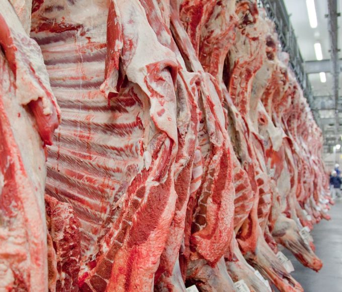 governo-promete-reverter-veto-da-ue-a-carnes-e-animais-brasileiros
