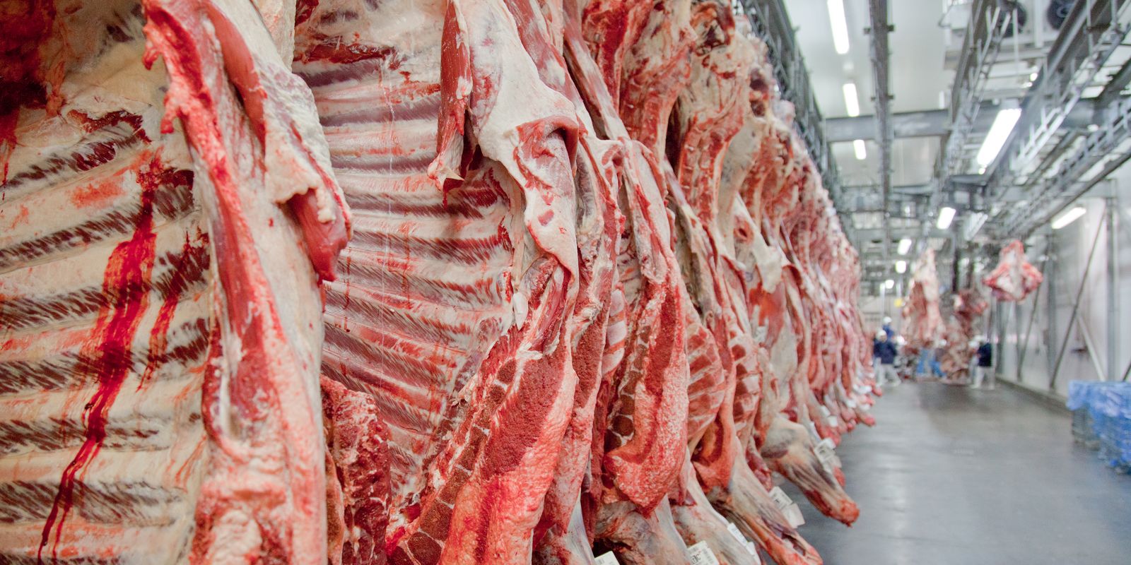 governo-promete-reverter-veto-da-ue-a-carnes-e-animais-brasileiros