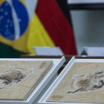 brasil-quer-recuperar-dinossauros-e-patrimonios-que-estao-em-14-paises