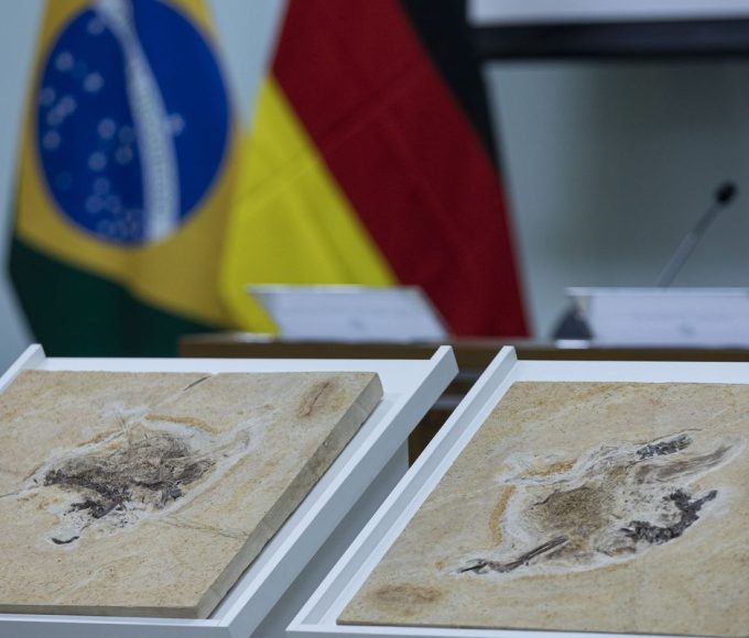 brasil-quer-recuperar-dinossauros-e-patrimonios-que-estao-em-14-paises